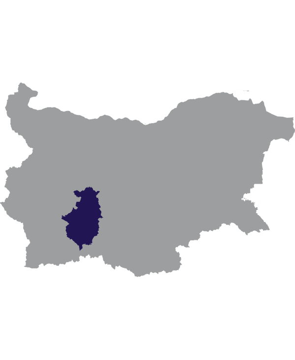 Landkaart Bulgarije grijs met oblast Pazardzjik donkerblauw op transparante achtergrond - 600 * 733 pixels